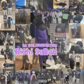 Intro (feat. #SilwoodNation T1, A Miz & #SyriaS YA) #SilwoodNation RS
