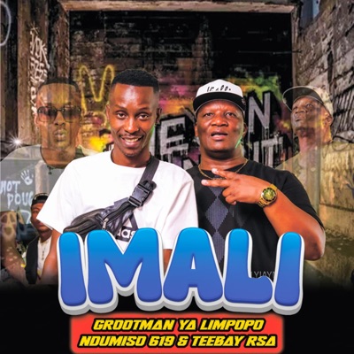 Imali (feat. Ndumiso 619 & Teebay RSA) - Single