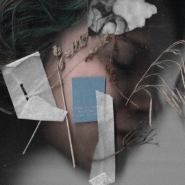 Чёрная дыра DenDerty