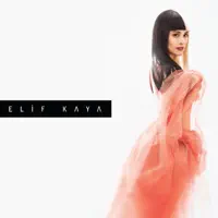 Kader Çıkmazı — Elif Kaya