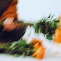 Flatline - Single - Anjali Asha