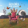 Les Oies Sauvages - Single