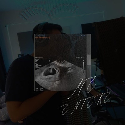 Me Enteré - Single