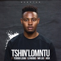 Tshin' Lomntu (feat. Tebogo Louw, Lu Ngobo, Mr Luu & Msk) - Single - DeBryan