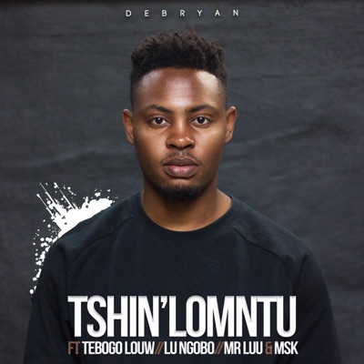 Tshin' Lomntu (feat. Tebogo Louw, Lu Ngobo, Mr Luu & Msk) - Single