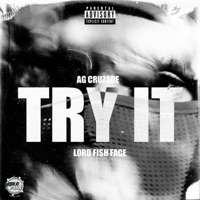 TRY IT! (feat. Lord Fish Face) - Single - AG Cruzade