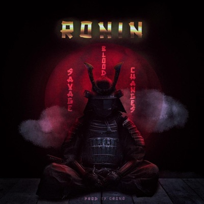 Savage (feat. Zhair MDG, Fabi Girl, Dement, Sivley & EHG) - Single