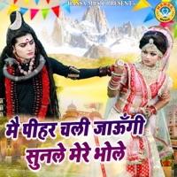 Main Pihar Chali Jaungi Sunle Mere Bhole - Single - Teena