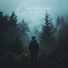 Скиталец WILLTOX WT?