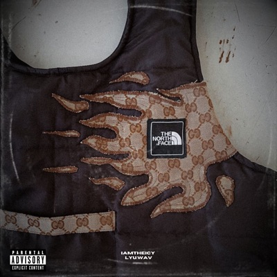 Colete Gucci X Northface - Single