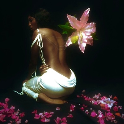 Raavan (feat. roro) - Single