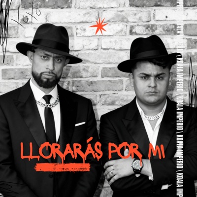 Llorarás por Mi - Single