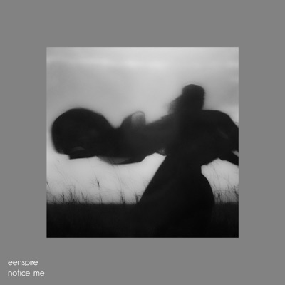 notice me - Single