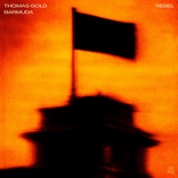 Rebel - Single - Thomas Gold & Barmuda