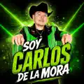 El Carinoso