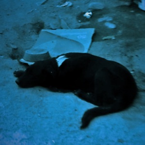 Balton