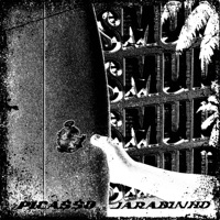 Diskodop (Smud 2026) (feat. Jarabinho) - Single - PICA$$O