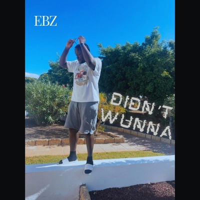 Didn't Wunna - Single