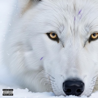 Loba (feat. DESTRU) - Single