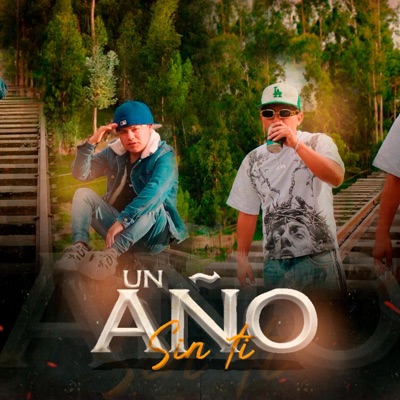 Un Año Sin Ti (feat. Cesitar Hockey) - Single