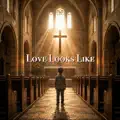 Love Looks Like