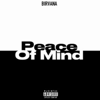 Peace Of Mind (feat. Moziartz) - Single - Birvana