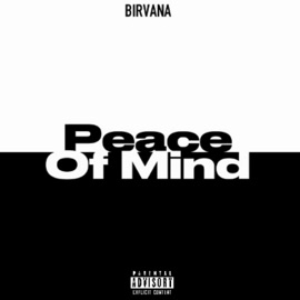 Peace Of Mind (feat. Moziartz) Birvana