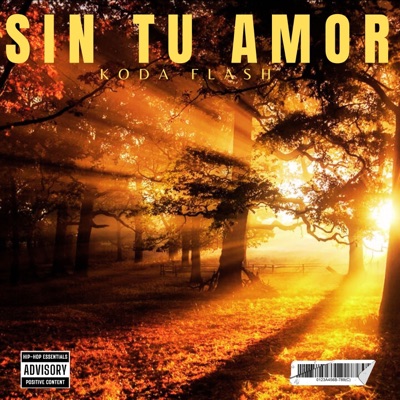 Sin Tu Amor - Single
