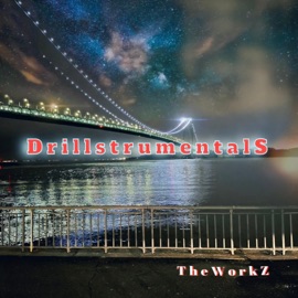 Deluxe Short TheWorkZ