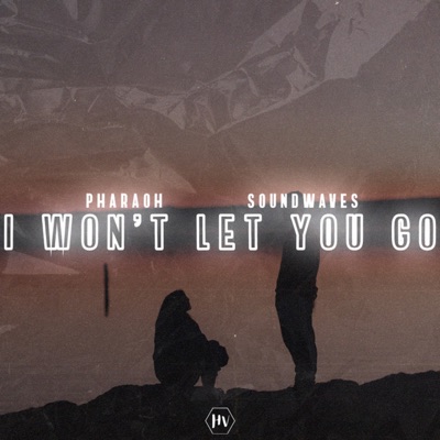 I Won't Let You Go - Single