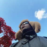 Ting Don't Last - Single - Renelle 893 & Vagrant Real Estate