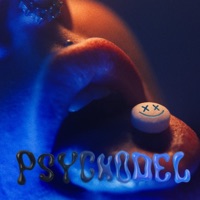 PSYCHODEL - Single - Mikkel Kka