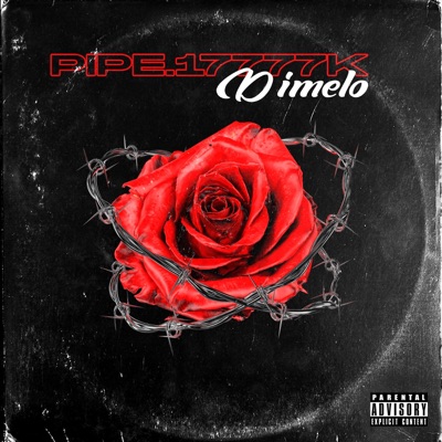 DIMELO - Single