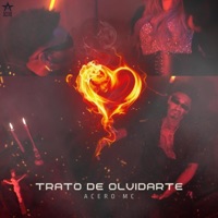 Trato de Olvidarte - Single - Acero MC