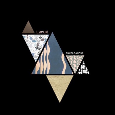 ENVELDANOSÉ - Single