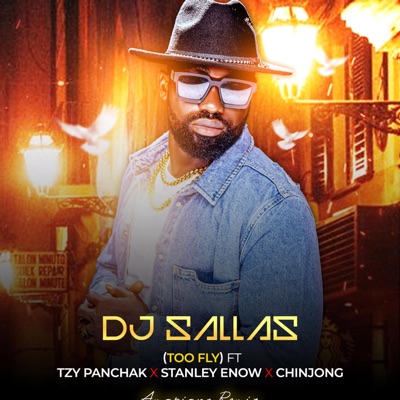 TOO FLY (REMIX) - Single