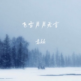 飞雪片片无言 袁kk
