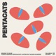 Pentacats feat Ricardo Schneider Single
