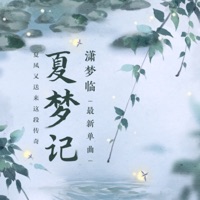 夏梦记 - Single - 潇梦临