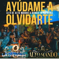 Ayúdame A Olvidarte - Single - Banda La Patrona de Acatlan