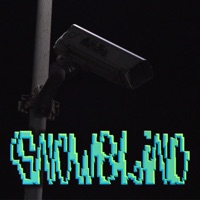Snowblind - Single - Tzusan