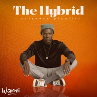 The Hybrid - Wanzi