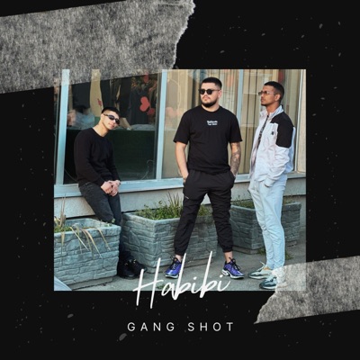 Habibi (feat. Domino & Samir) - Single
