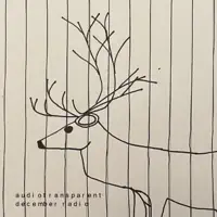 December Radio — Audiotransparent