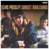 Elvis Presley - T-R-O-U-B-L-E (Take 1) artwork