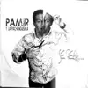 PAMIR GUANCHEZ