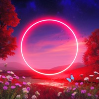 HONEYCOATED - SOLOMON