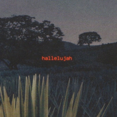 hallelujah - Single
