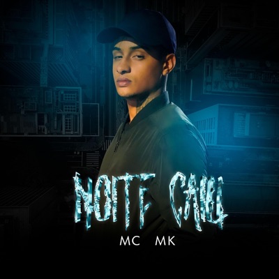 NOITE CAIU (DJ LIPEXX Remix) - Single