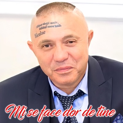 Song - Te-am ales - Nicolae Guță